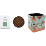 Holiday Square Tin Mint Grow Kit – Stocking Stuffer Gift
