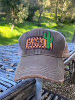 Go Climb a Cactus Patch Cap Five Colors