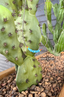 Vaquera Necklace