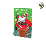 Holiday Santa Spruce Terracotta Grow Pot – Christmas Gift