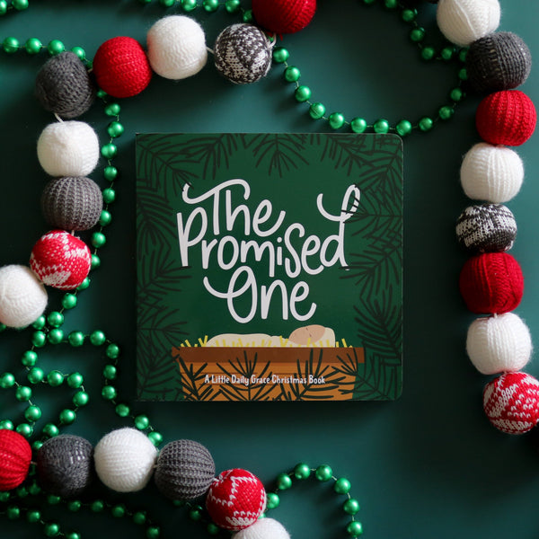 The Promised One - Board Book ~ In Store