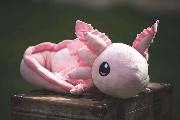 Pink Axolotl Weighted Plush - Realistic, 4 lbs, 26 in long