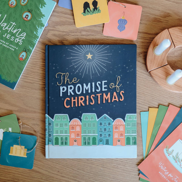 The Promise of Christmas - Children's Book ~ In Store
