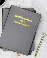 Brilliant Ideas and Other Bullshit Journal ~ In Store